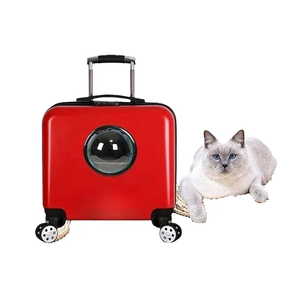 Doggo_Bite_Plastic_Pet_Trolley_Carrier_16x9x18_Inch