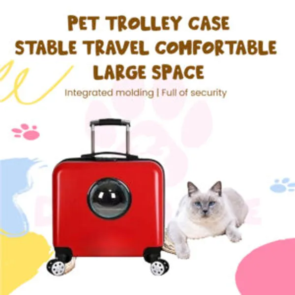Doggo_Bite_Plastic_Pet_Trolley_Carrier_16x9x18_Inch