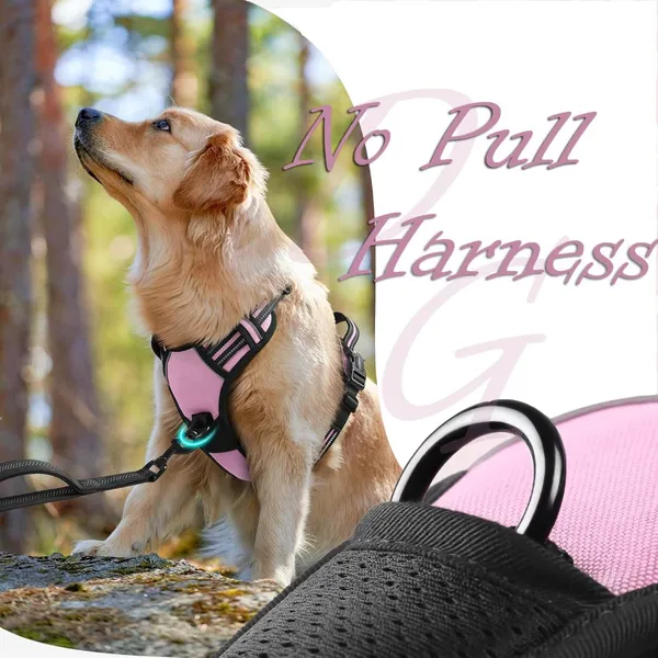 Doggo_Bite_Orange_Reflective_Vest_Dog_Harness_With_Padded_Handle_And_Buckle