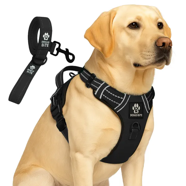 Doggo_Bite_Black_Reflective_Vest_Dog_Harness_And_Leash_Set