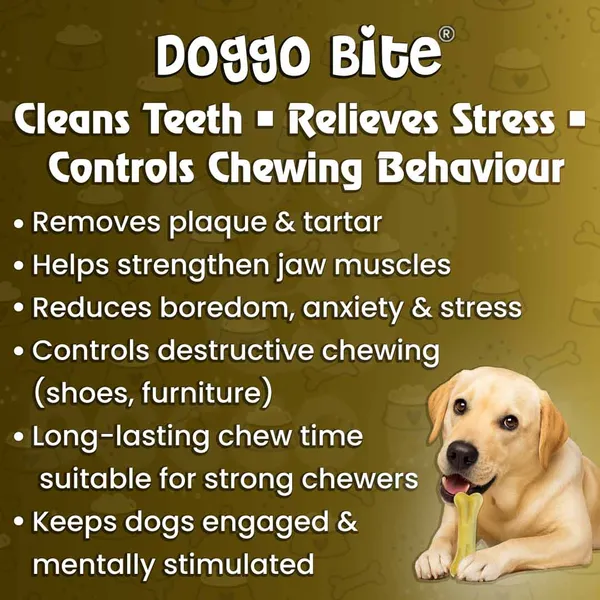 Doggo_Bite_Natural_Rawhide_Dog_Bone_8_Inch_For_Medium_And_Large_Dogs