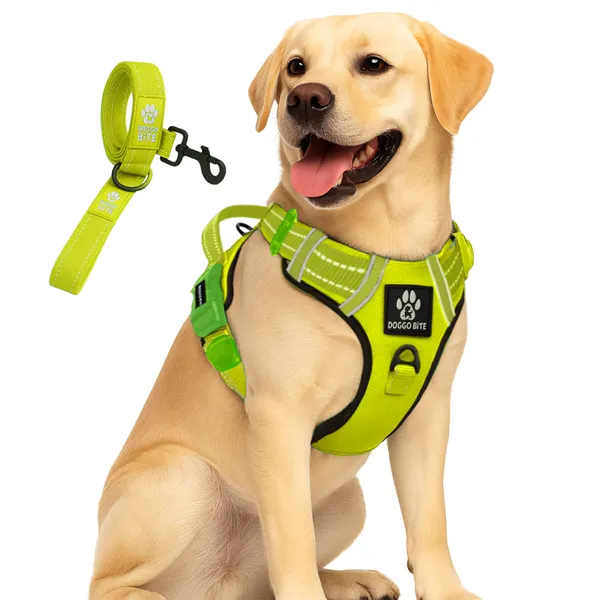Doggo_Bite_Green_Reflective_Vest_Dog_Harness_And_Leash_Set