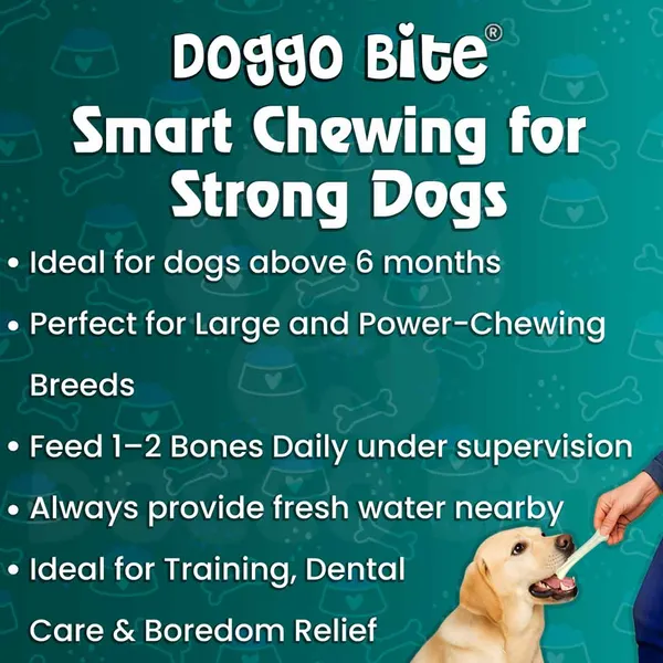 Doggo_Bite_Pressed_Rawhide_Chew_Bone_10_Inch_For_Dogs