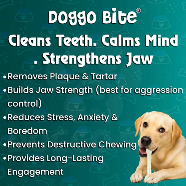 Doggo_Bite_Pressed_Rawhide_Chew_Bone_10_Inch_For_Dogs
