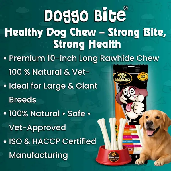 Doggo_Bite_Pressed_Rawhide_Chew_Bone_10_Inch_For_Dogs