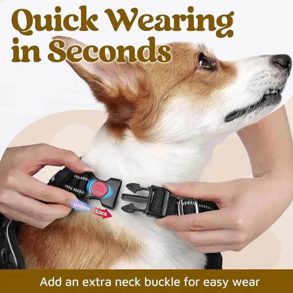 Doggo_Bite_Sky_Blue_Reflective_Vest_Dog_Harness_And_Leash_Set