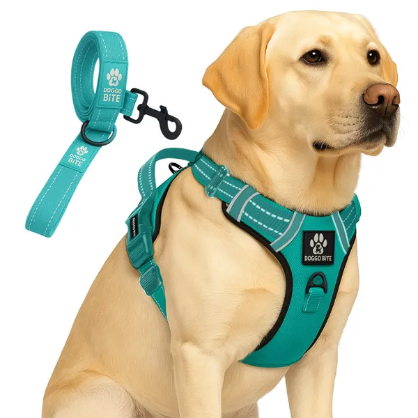 Doggo_Bite_Sky_Blue_Reflective_Vest_Dog_Harness_And_Leash_Set