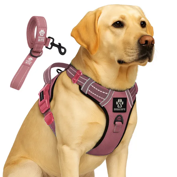 Doggo_Bite_Pink_Reflective_Vest_Dog_Harness_And_Leash_Set