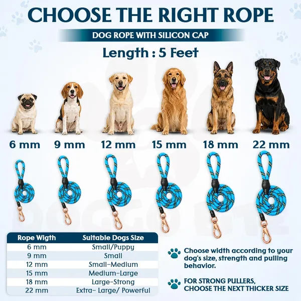 Doggo_Bite_Blue_Nylon_Rope_Dog_Walking_Leash_With_Silicone_Cap