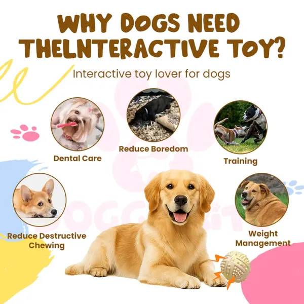 Doggo_Bite_Latex_Spike_Ball_Play_Toy_For_Dogs_And_Cats
