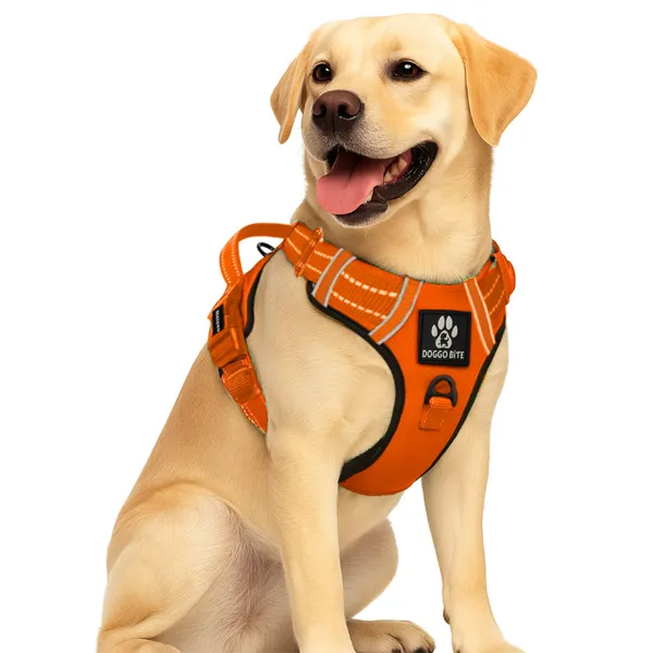 Doggo_Bite_Orange_Reflective_Vest_Dog_Harness_And_Leash_Set