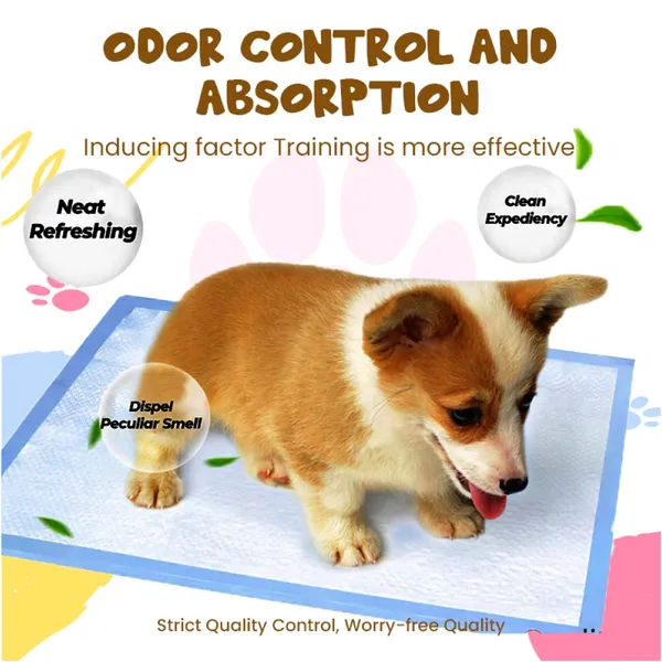 Doggo_Bite_Non_Woven_Pet_Training_Pads_For_Dogs_And_Cats