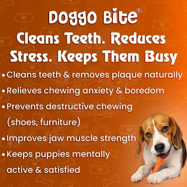 Doggo_Bite_Chicken_Barbeque_Rawhide_Chew_Bone_3_Inch_For_Puppies_And_Small_Dogs