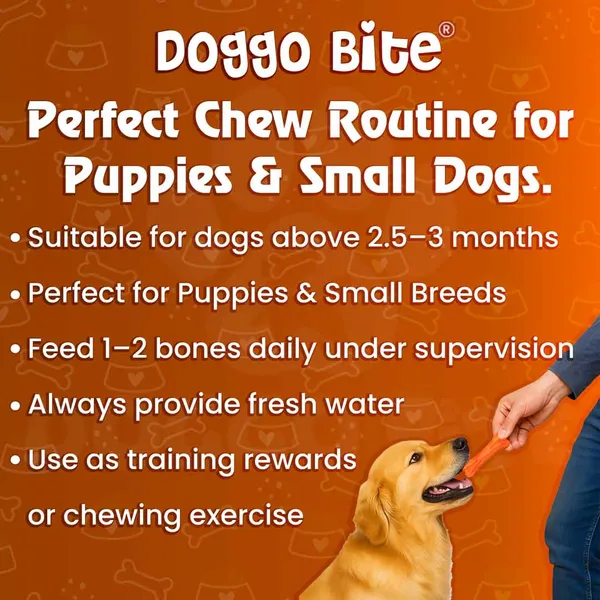 Doggo_Bite_Chicken_Barbeque_Rawhide_Chew_Bone_3_Inch_For_Puppies_And_Small_Dogs