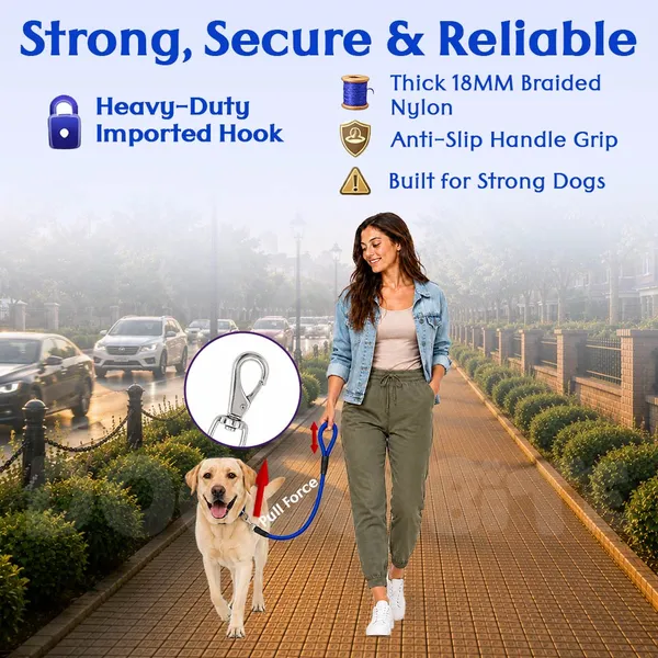 Doggo_Bite_Blue_Nylon_Rope_Dog_Walking_Leash_With_Imported_Cap_Pack_Of_2