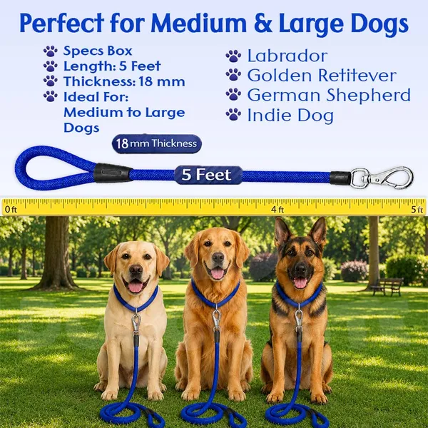 Doggo_Bite_Blue_Nylon_Rope_Dog_Walking_Leash_With_Imported_Cap_Pack_Of_2