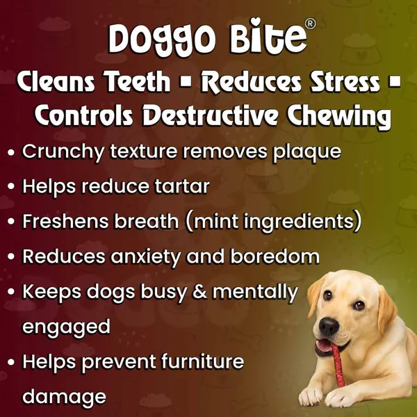 Doggo_Bite_Mix_Munchy_Rawhide_Stick_5_Inch_Dog_Treat
