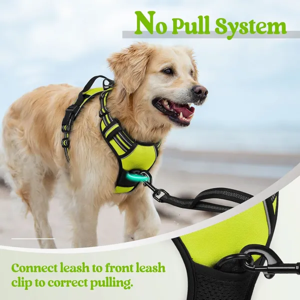 Doggo_Bite_Sky_Blue_Reflective_Vest_Dog_Harness_With_Padded_Handle_And_Buckle