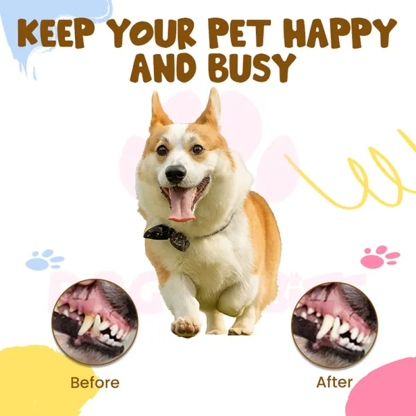 Doggo_Bite_Latex_Bone_Squeaky_Dog_Toy_Star_And_Moon_Design