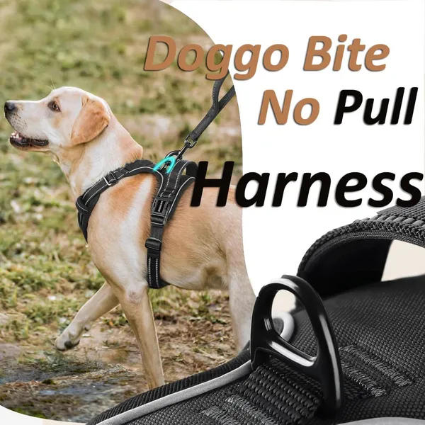 Doggo_Bite_Black_Reflective_Vest_Dog_Harness_And_Leash_Set