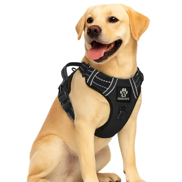 Doggo_Bite_Black_Reflective_Vest_Dog_Harness_And_Leash_Set