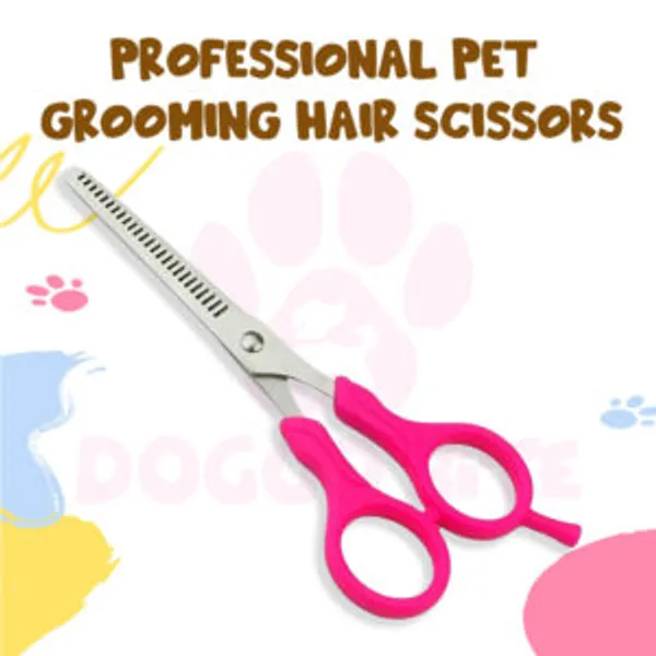 Doggo_Bite_Steel_Hair_Scissor_8_Inch_For_Dogs_And_Cats