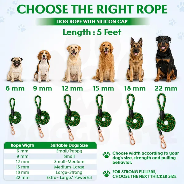 Doggo_Bite_Green_Nylon_Rope_Dog_Walking_Leash_With_Silicone_Cap