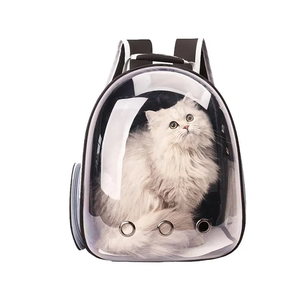 Doggo_Bite_Transparent_Backpack_Carrier_For_Puppies_And_Cats