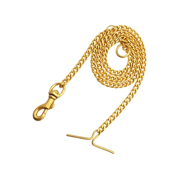 Doggo_Bite_Brass_Walking_Chain_5_Feet_For_Dogs