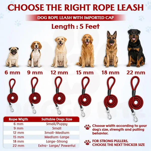 Doggo_Bite_Red_Nylon_Rope_Dog_Walking_Leash_With_Imported_Cap_