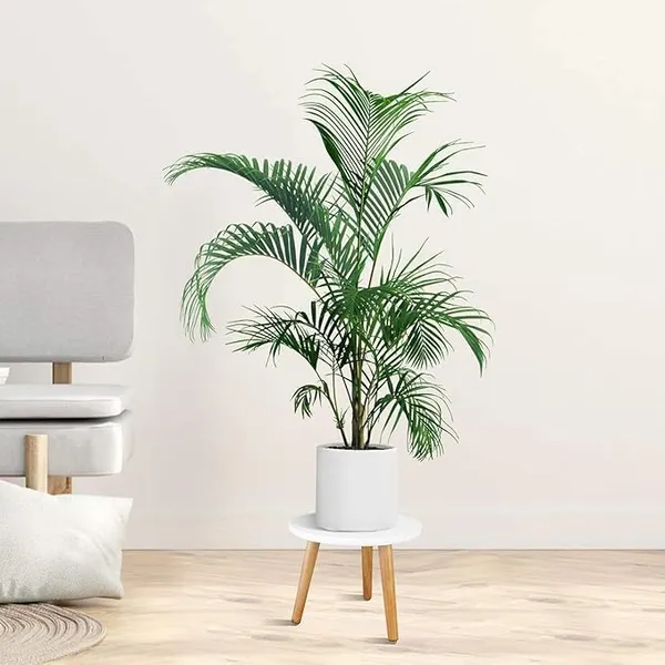 Wood_And_Mdf_Minimalist_Round_Side_Table_White