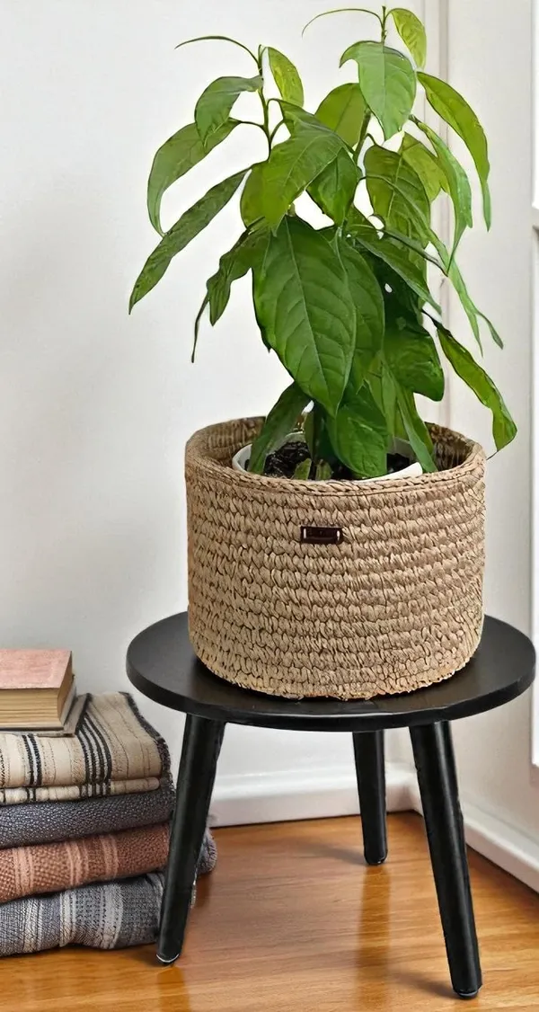Mango_Wood_Mdf_Dark_Brown_Round_Side_Table