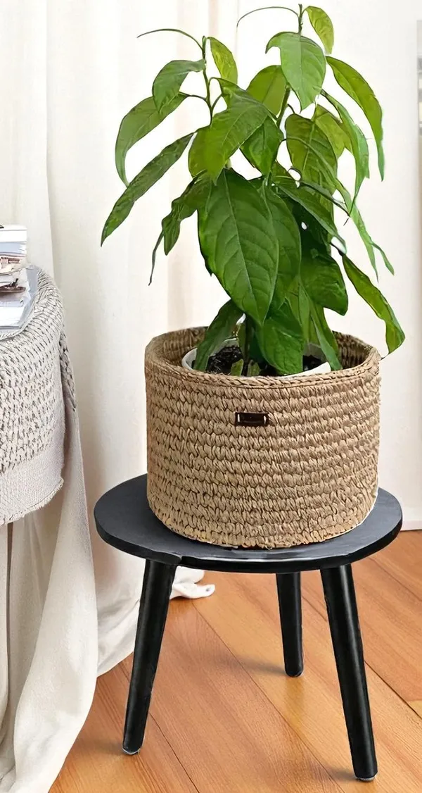 Mango_Wood_Mdf_Dark_Brown_Round_Side_Table