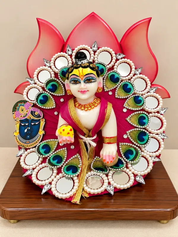 Multi_colour_poshak_with_shree_nath_ji_design_for_your_madhav