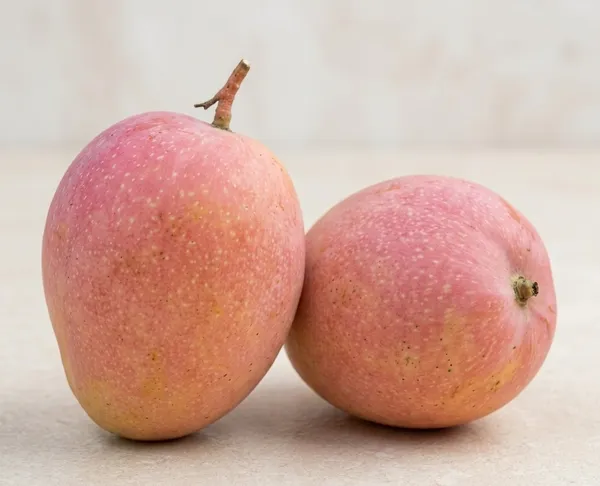 Thai_Aanchal_Mango_Fresh_Fruit_Plant