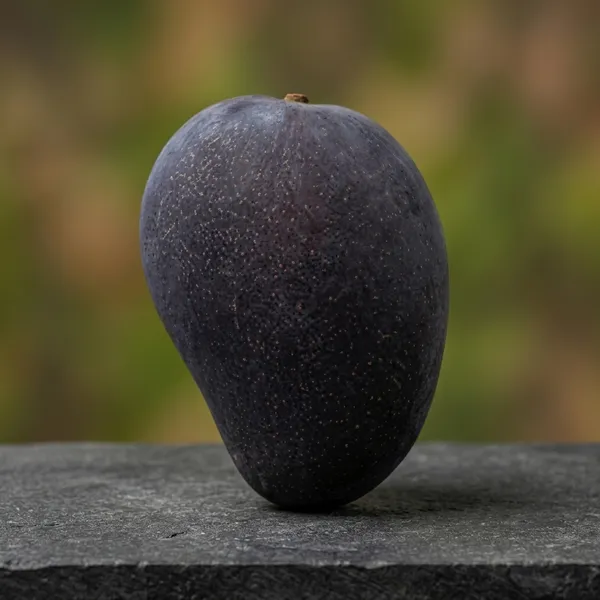 Kawachagro_Black_Stone_Kashi_Mango_Fruit_Plant