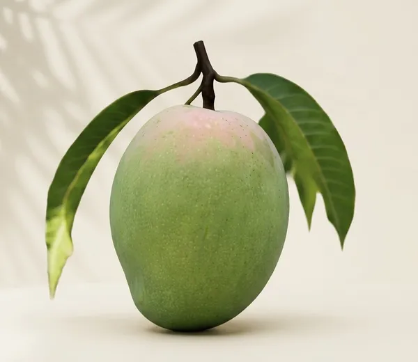 Fresh_Green_Mango_Variety