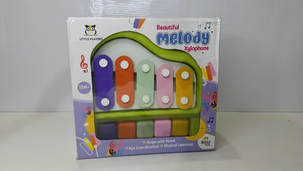Kids_Educational_Knock_Playing_Musical_Xylophone_Toy_For_Kids_|_2_In_1_Mini_Musical_Piano_And_Xylophone_Toy_With_Colorful_Keys_&_2_Mallets_No_Batteries_Required