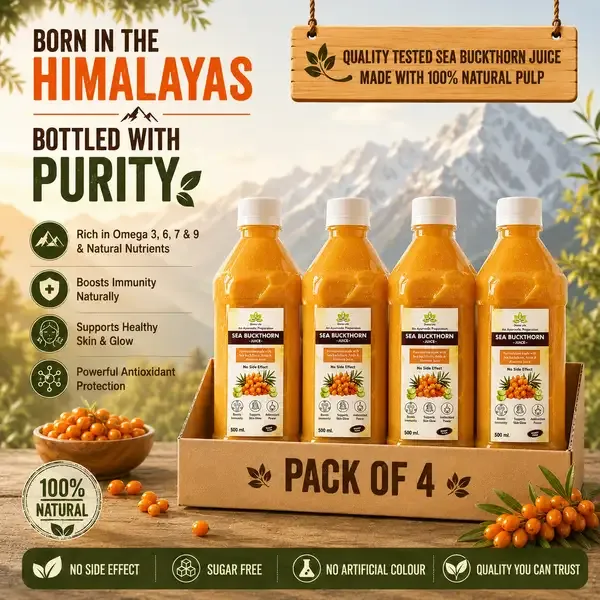 Buy_2_Get_2_Free_100%_Sea_Buckthorn_Concentrate_Himalayan_1000ml_+_1000ml_Berry_Immunity_Booster_Buckthorn_Concentrated_Juice_with_8_Herbs__(2000_ml)