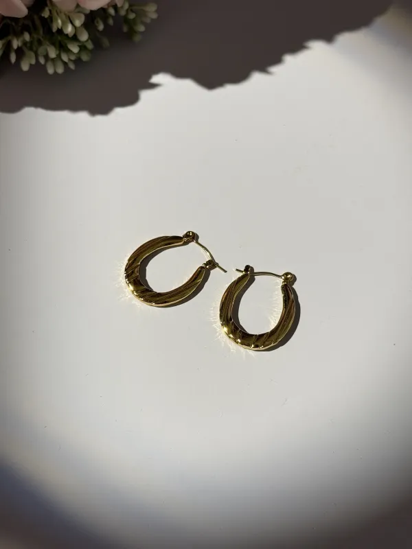 Gold_18K_Gold_Plated_Stainless_Steel_Hoop_Earrings_For_Women