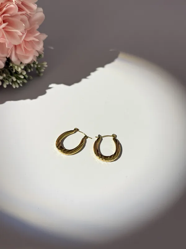Gold_18K_Gold_Plated_Stainless_Steel_Hoop_Earrings_For_Women
