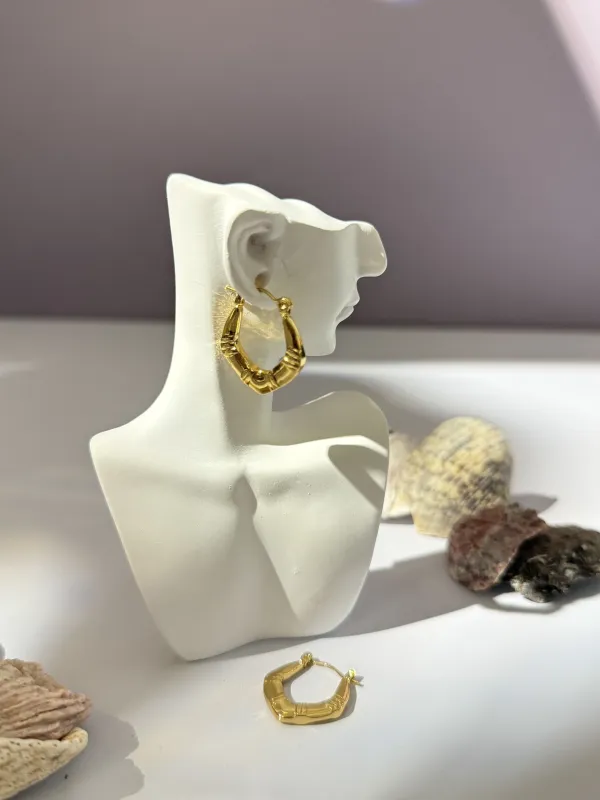 Gold_18K_Gold_Plated_Stainless_Steel_Hoop_Earrings_For_Women