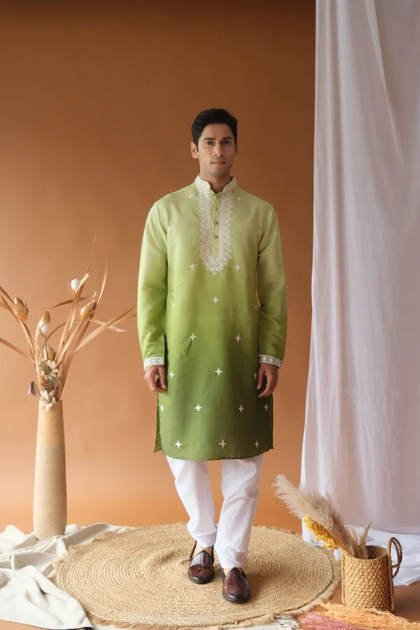 Nexoira_Men_Embroidered_Straight_Kurta_(Green)