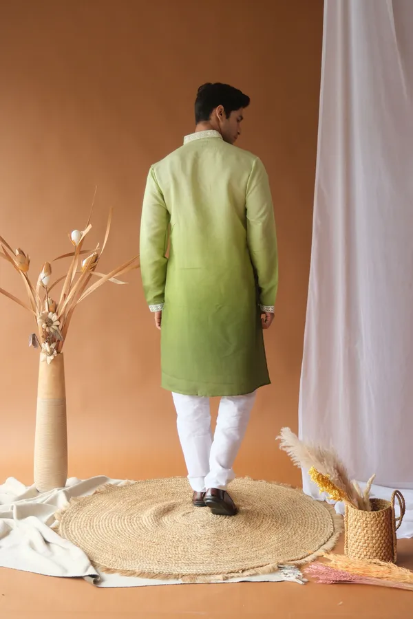 Nexoira_Men_Embroidered_Straight_Kurta_(Green)