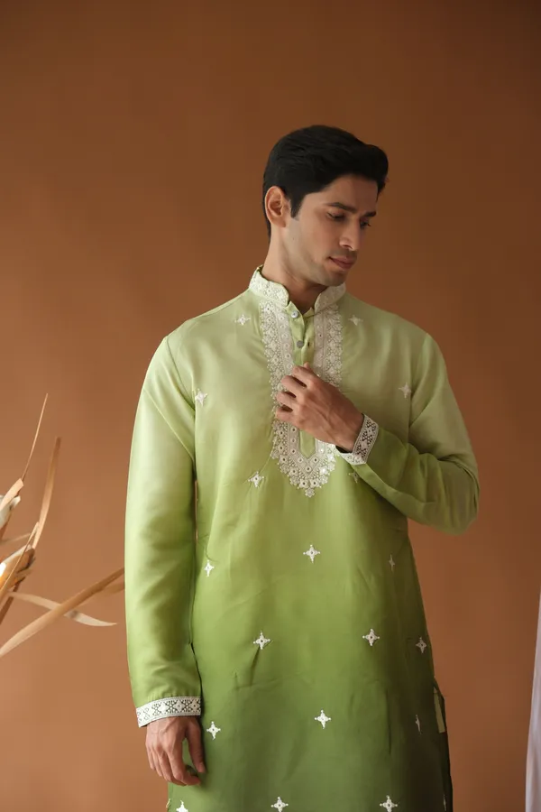 Nexoira_Men_Embroidered_Straight_Kurta_(Green)