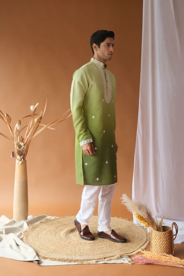 Nexoira_Men_Embroidered_Straight_Kurta_(Green)