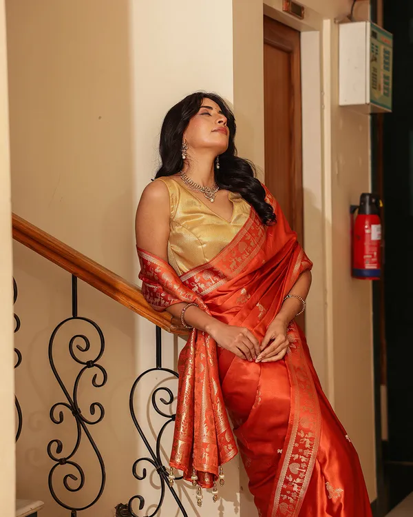 Rust_Orange_Dola_Silk_Animal_Motif_Saree