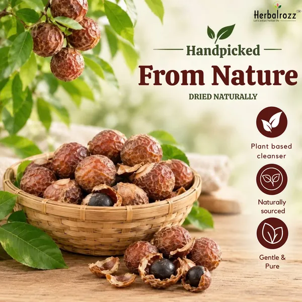 Herbalrozz_Natural_Raw_Reetha_(Soapnut)_Pack_of_2__Traditional_Herbal_Hair_Cleanser