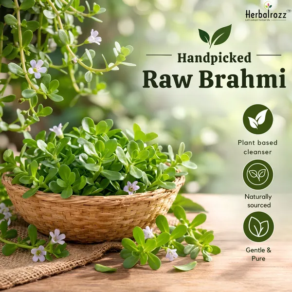 Herbalrozz_Natural_Raw_Brahmi_Herb__Pack_of_2__Traditional_Ayurvedic_Hair_Care

