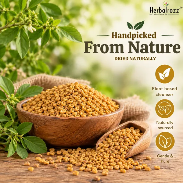 Herbalrozz_Natural_Raw_Methi_Dana_(Fenugreek_Seeds)__Pack_of_2_|Herbal_Hair_Care
